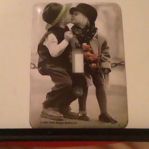 Switch plate cover (metal)